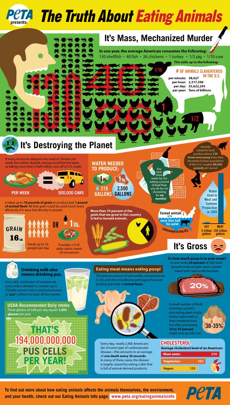 peta_infographic-truthabouteating